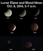 8th Oct 2014 - Lunar Eclipse
