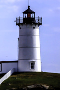 7th Oct 2014 - I have been described as a lighthouse in the middle of a bog: Brilliant but useless.