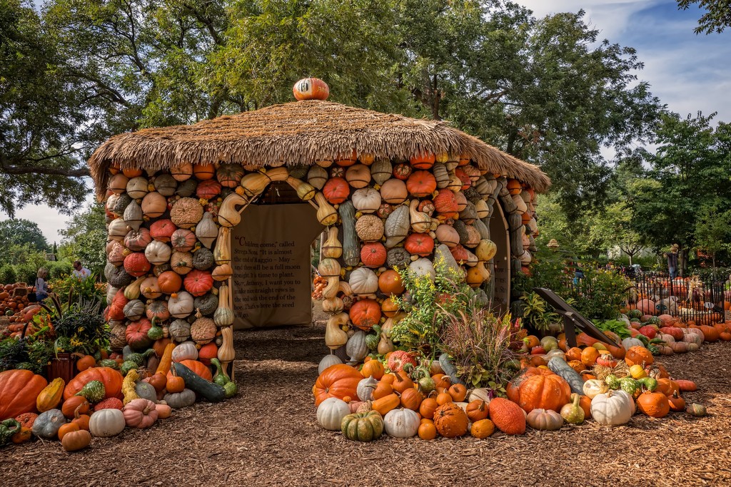 Pumpkin Village by lynne5477