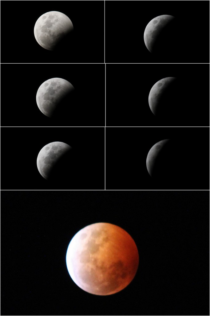 Lunar eclipse Pt 1 by gilbertwood