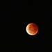 Lunar Eclipse -  'Blood Moon' by leestevo