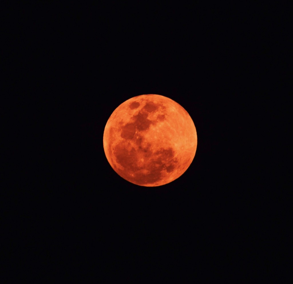 My Blood Moon Photo. by happysnaps