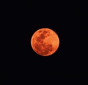 9th Oct 2014 - My Blood Moon Photo.
