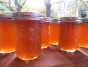 7th Oct 2014 - Pepper Jelly