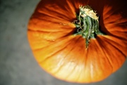 8th Oct 2014 - Another day, another pumpkin