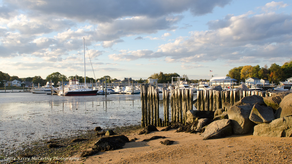 Late day at the marina by mccarth1