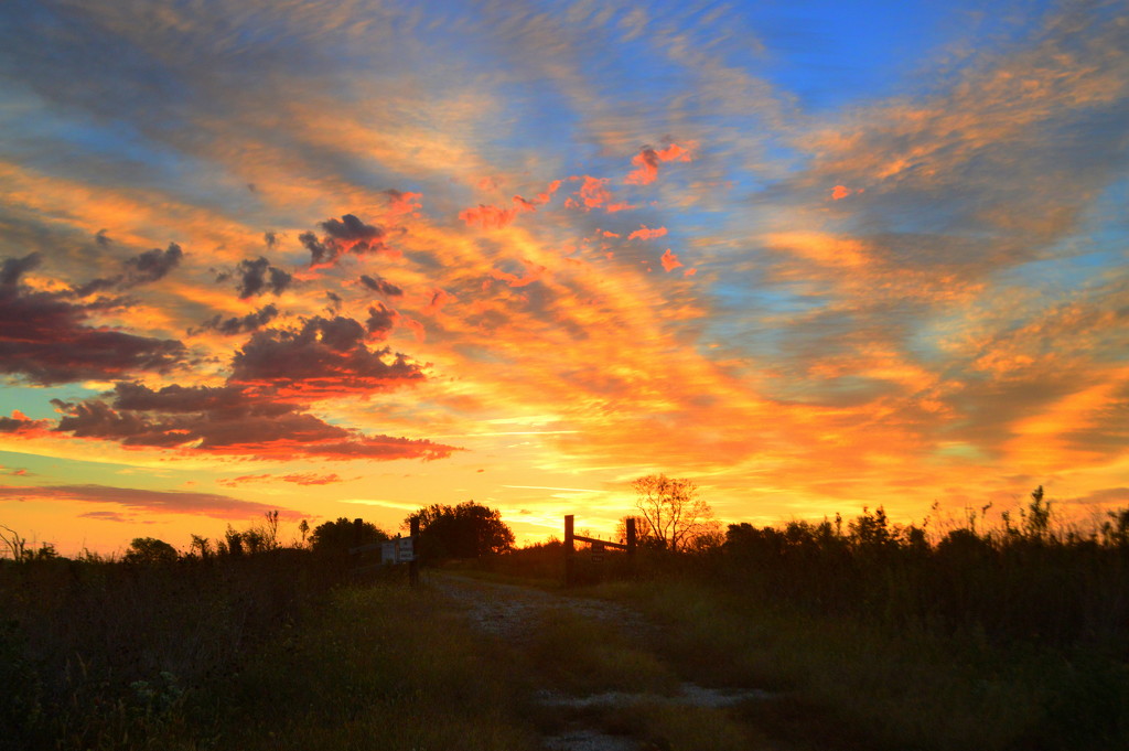 Flint Hills Nature Trail - Magic Awaits by kareenking