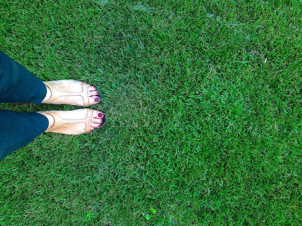 Shoefie in the grass by cocobella