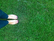 9th Oct 2014 - Shoefie in the grass