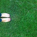 Shoefie in the grass by cocobella