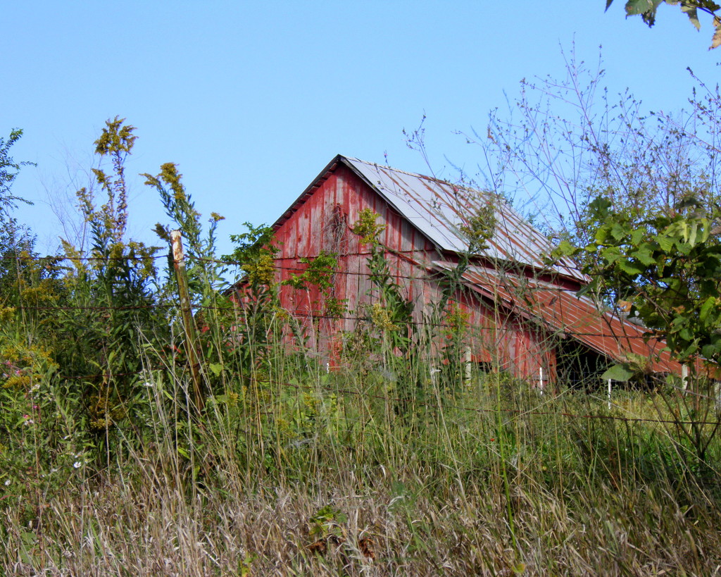 October 7: Autumn: The Old Red Barn by daisymiller