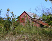 7th Oct 2014 - October 7: Autumn: The Old Red Barn
