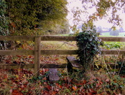 9th Oct 2014 - Country stile......
