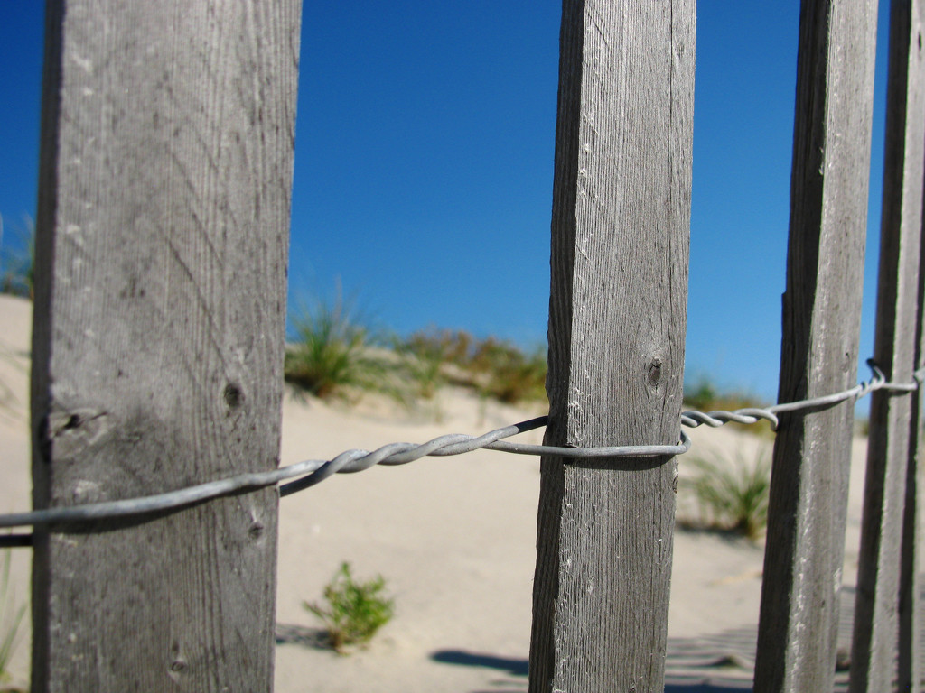 Sand Dune and Fence by april16