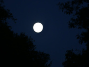 7th Oct 2014 - Full moon tomorrow...
