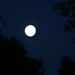 Full moon tomorrow... by ingrid01