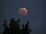8th Oct 2014 - Red Moon