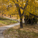 Confederation Park in Fall by kph129