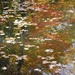 Autumn Impressionism by alophoto