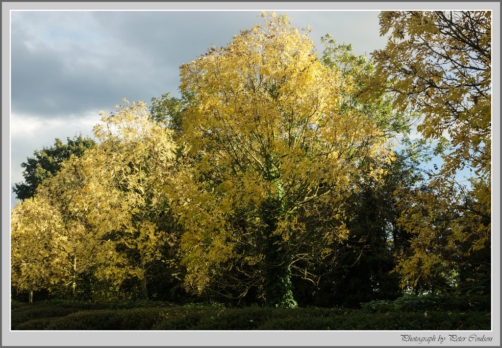 Autumn Colours 2 by pcoulson
