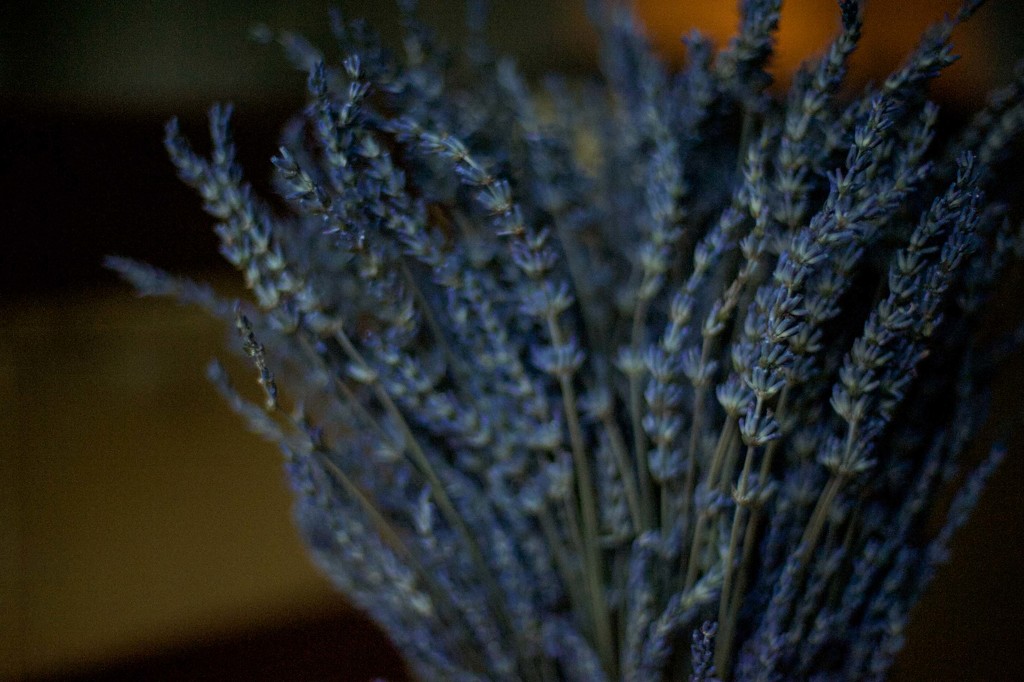 Dried lavender by loweygrace