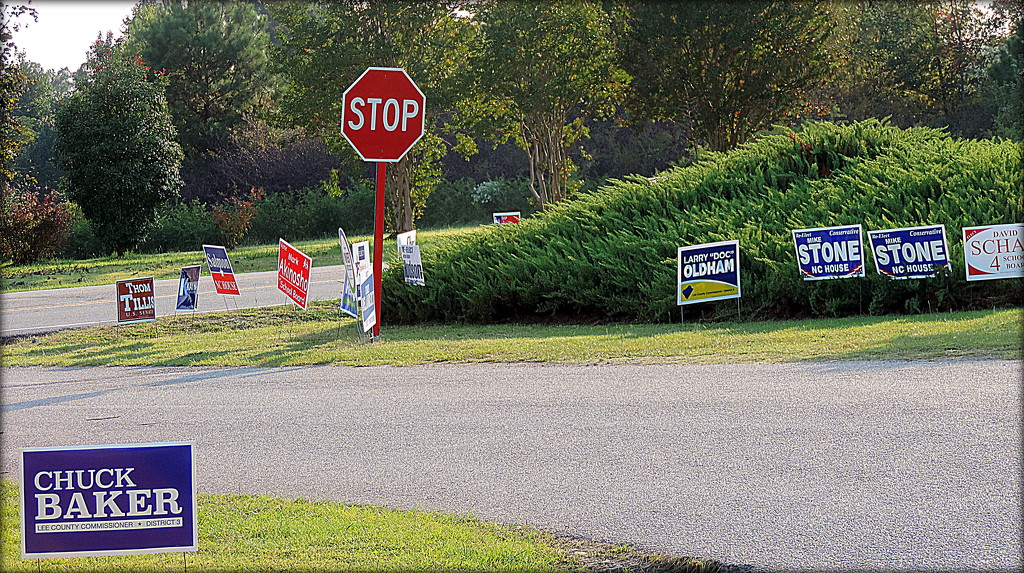 Stop! No more campaign signs! by homeschoolmom