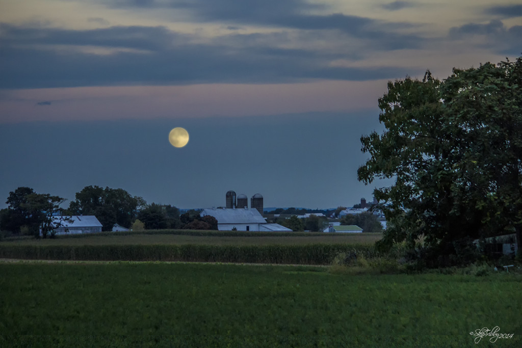 Moon Over Amish Farm by skipt07