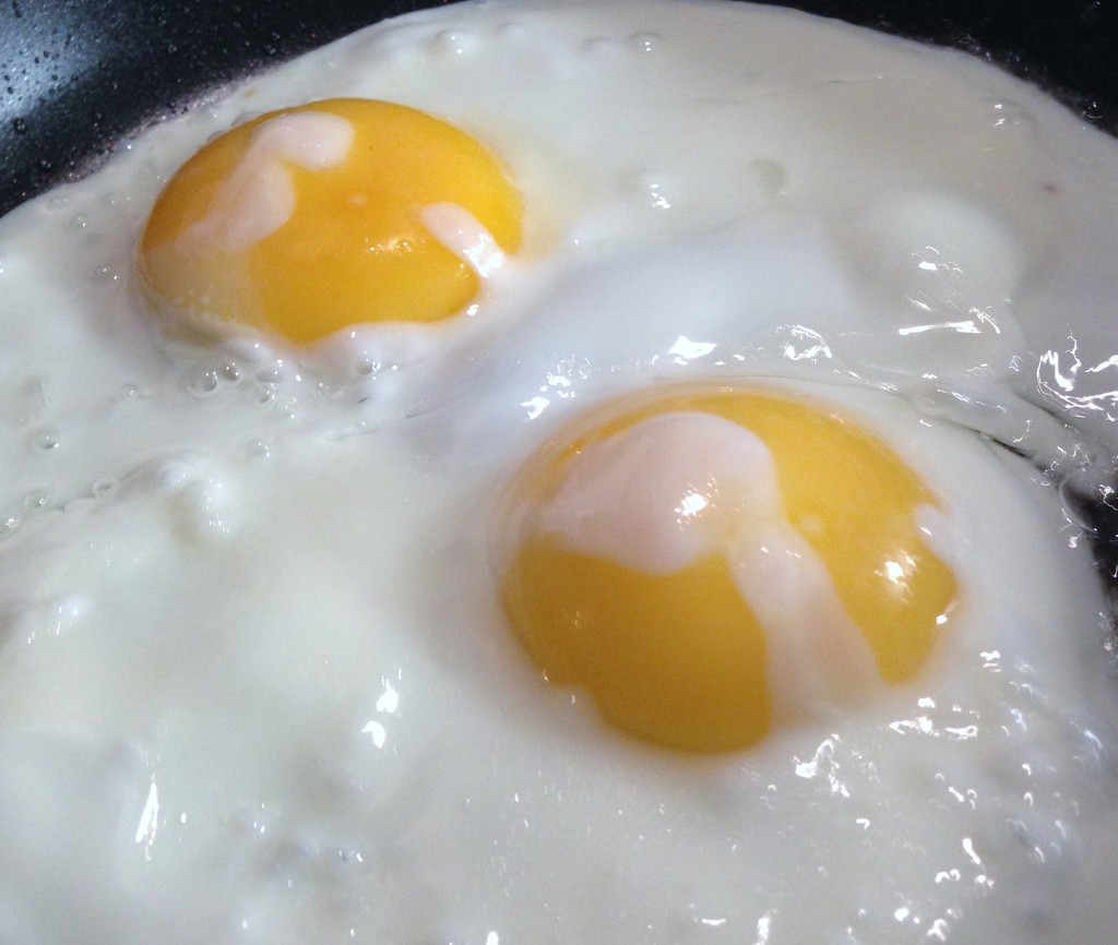 Fried eggs..... by anne2013