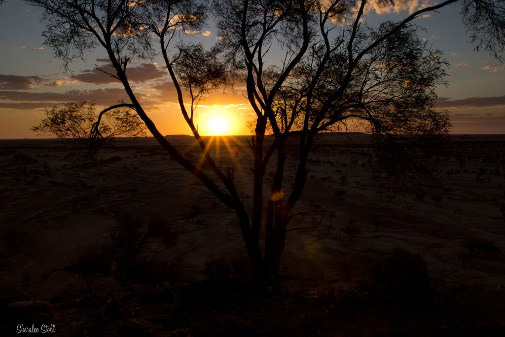 Sunset on Rangelands by bella_ss
