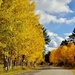 Fall in colorado by dmdfday