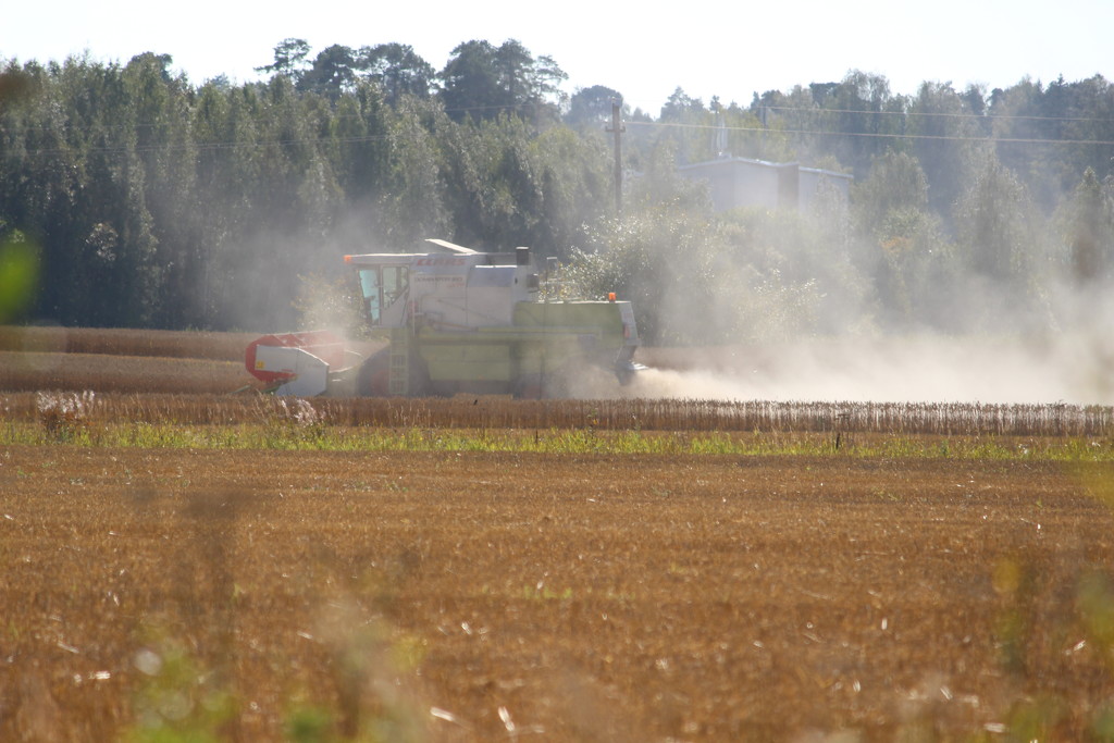 A harvester working IMG_0090 by annelis