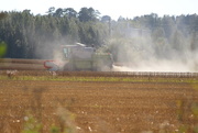 4th Sep 2014 - A harvester working IMG_0090