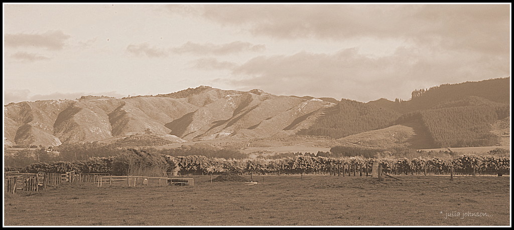 Waikato river hills.. by julzmaioro