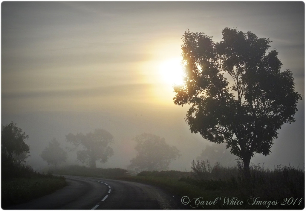 Breaking Through The Fog by carolmw
