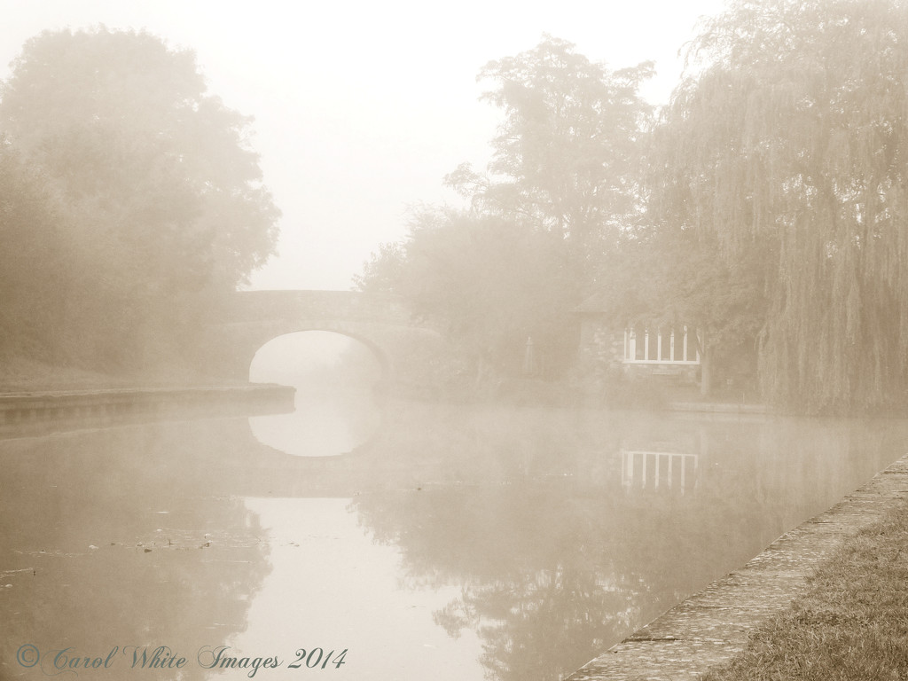 Fog On The Canal by carolmw
