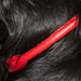 Red collar day by angelar