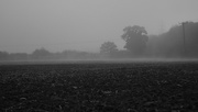 12th Oct 2014 - Misty Lunchtime