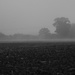 Misty Lunchtime by newbank