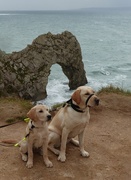 8th Oct 2014 -  Lincoln, Ursula and Durdle Door