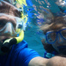 First time snorkeling! by rhoing