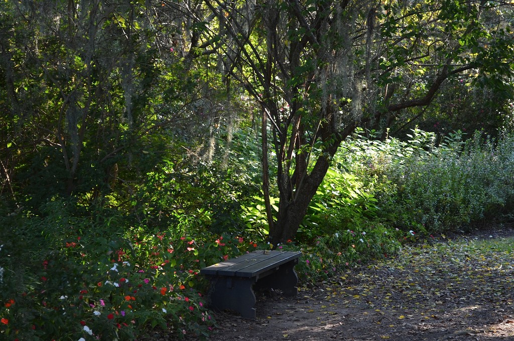 Quiet retreat, Magnolia Gardens, Charleston, SC by congaree