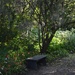 Quiet retreat, Magnolia Gardens, Charleston, SC by congaree