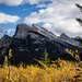 Mount Rundle with Yellow by kph129