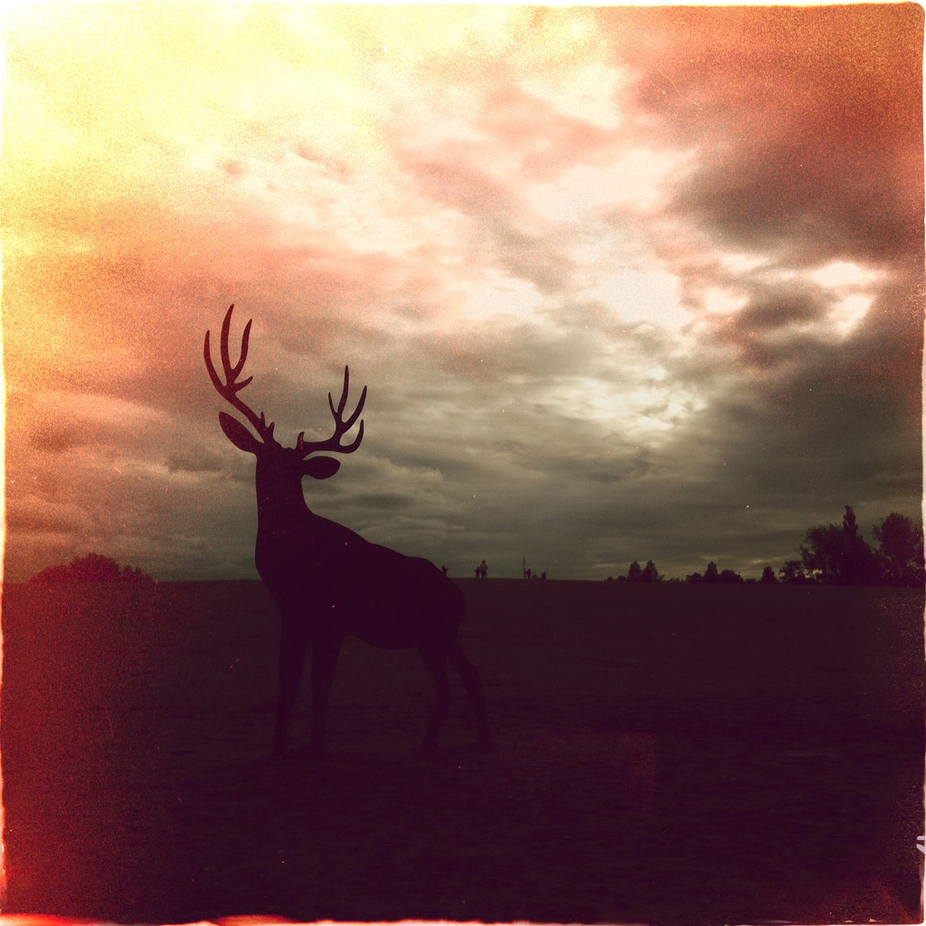 Deer field by mastermek