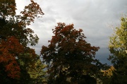 13th Oct 2014 - Dark clouds moving in