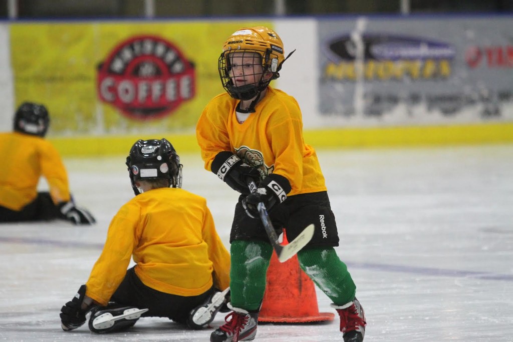 Hockey Practice Begins by whiteswan