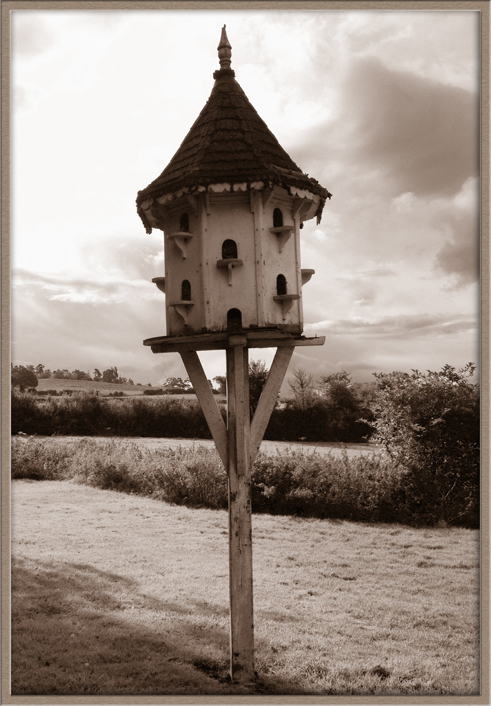 birdhouse by sjc88