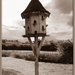 birdhouse by sjc88