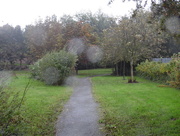 13th Oct 2014 - A rainy walk home from work..........in the rain!!!