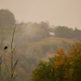 Eagle in the Ozarks by kareenking